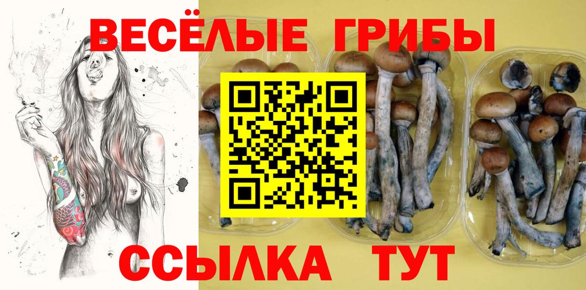 Галлюциногенные грибы Cubensis Городец