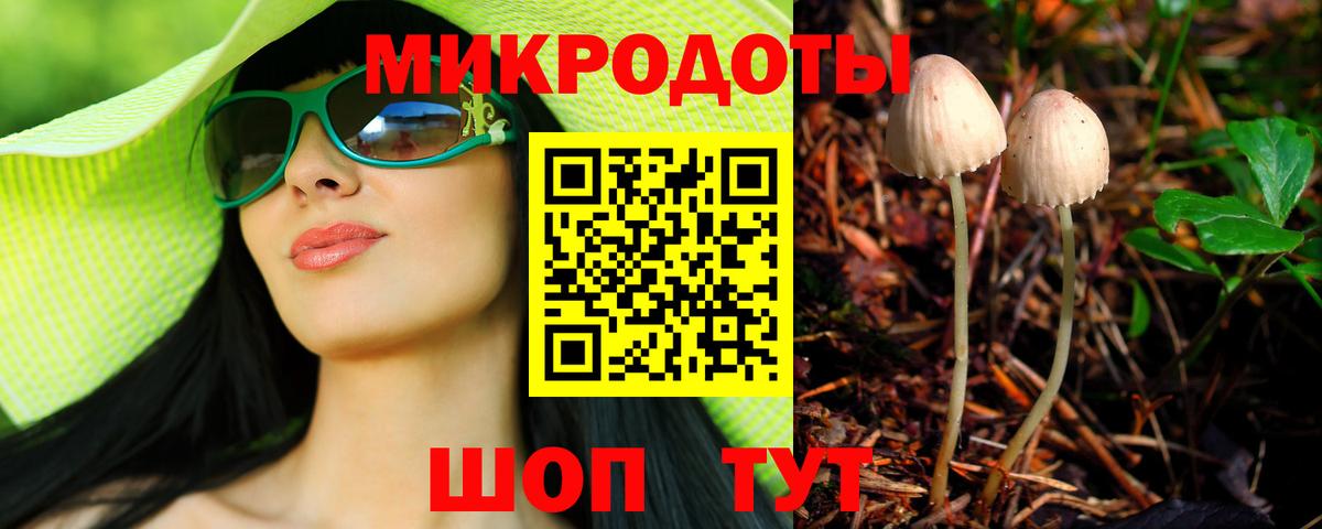 где купить   Вход с VPN  Городец  Галлюциногенные грибы мицелий 